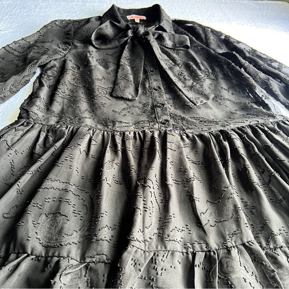 Women’s Black Sheer Embroidered Mini Dress Ruffle Hem Long Sleeve Button Up - Picture 2 of 15